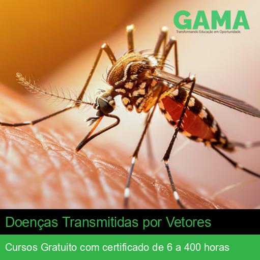 Doenças Transmitidas por Vetores